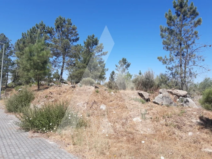 Terreno para Venda em Insua Foto 8