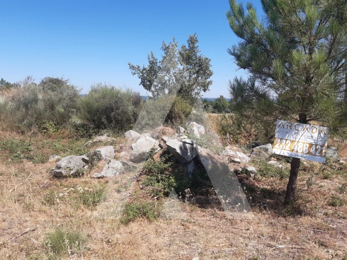 Terreno para Venda em Insua Foto 9