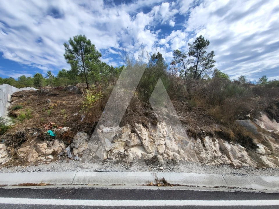Terreno para Venda em Abraveses Foto 5