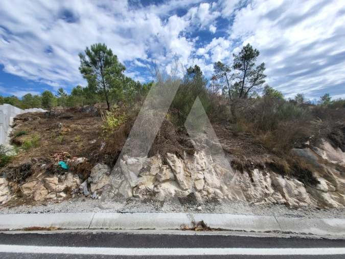 Terreno para Venda em Abraveses Foto 5