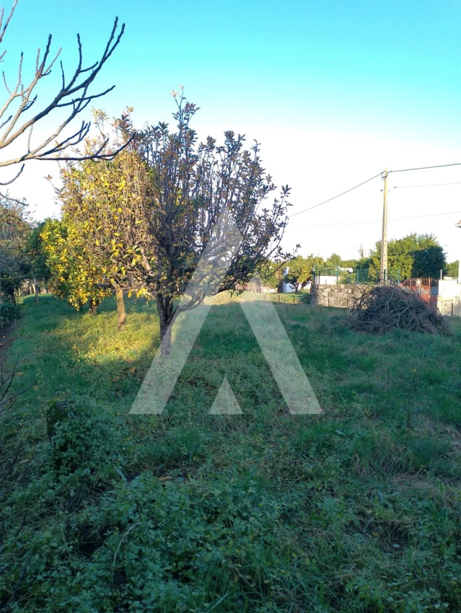 Terreno para Venda em Subportela, Deocriste e Portela Susã Foto 2