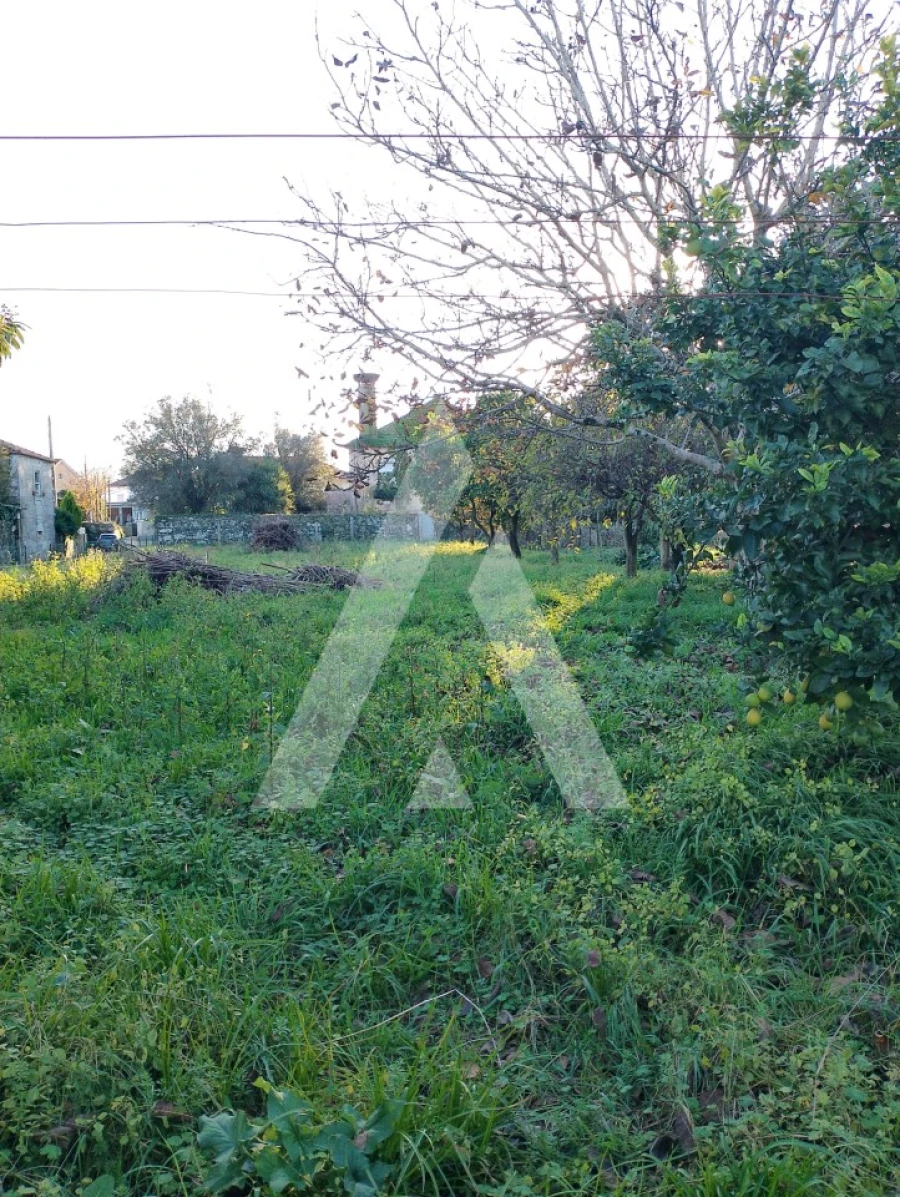 Terreno para Venda em Subportela, Deocriste e Portela Susã Foto 3