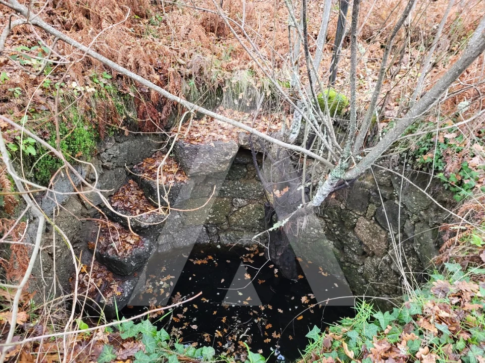 Terreno para Venda em Orgens Foto 7