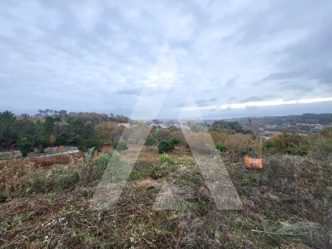 Terreno para Venda em Orgens Foto 4