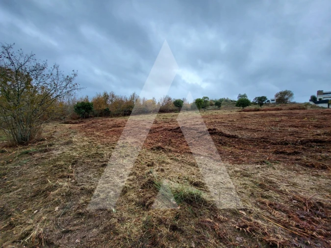 Terreno para Venda em Orgens Foto 6