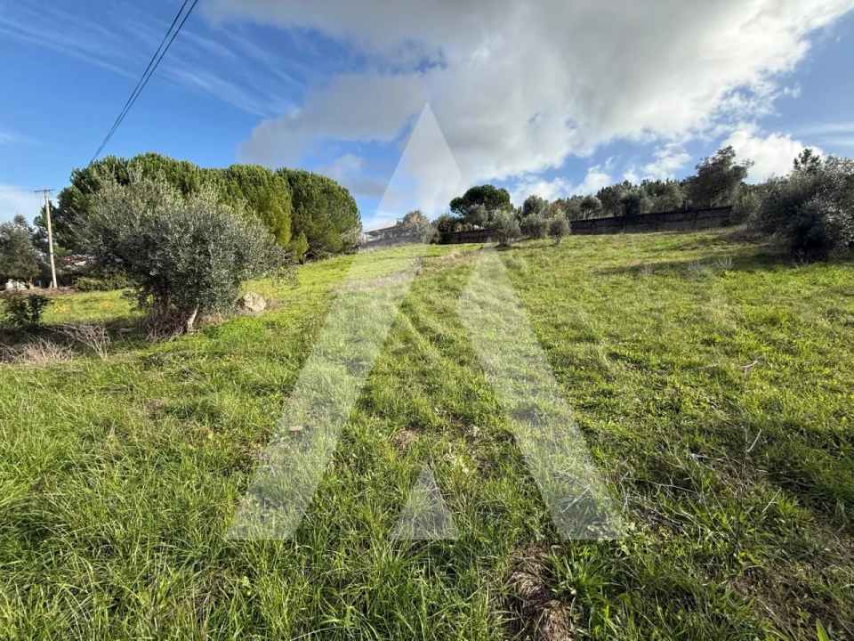 Terreno para Venda em Arrabal Foto 7