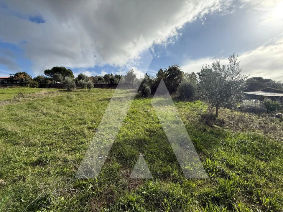 Terreno para Venda em Arrabal Foto 13