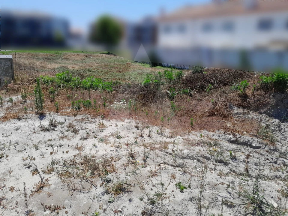 Terreno para Venda em Ílhavo (São Salvador) Foto 2