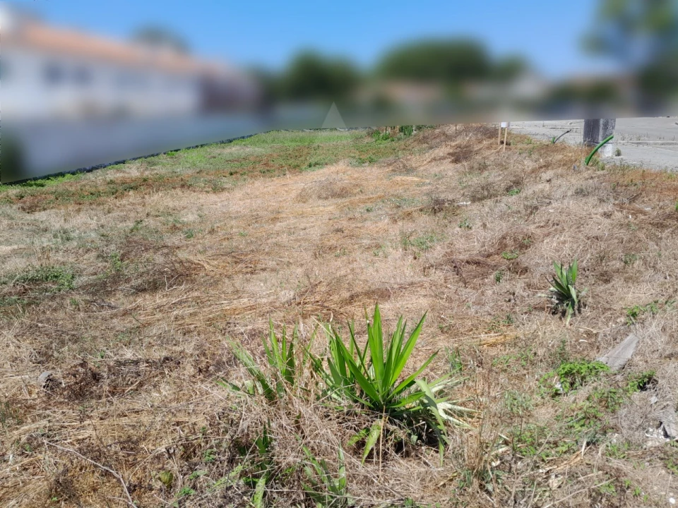 Terreno para Venda em Ílhavo (São Salvador) Foto 5