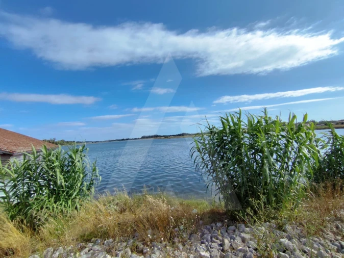Terreno para Venda em Ílhavo (São Salvador) Foto 8