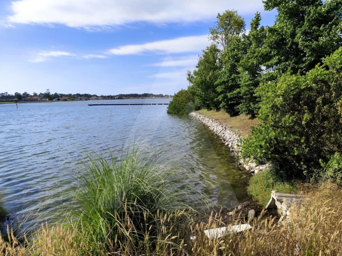 Terreno para Venda em Ílhavo (São Salvador) Foto 9