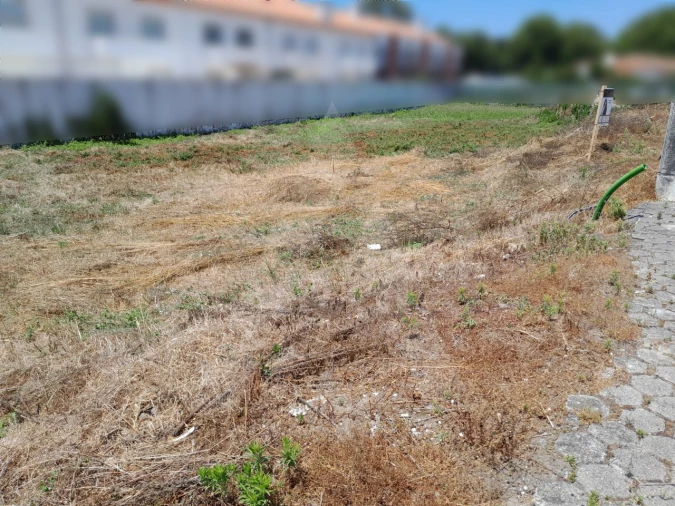 Terreno para Venda em Ílhavo (São Salvador) Foto 1