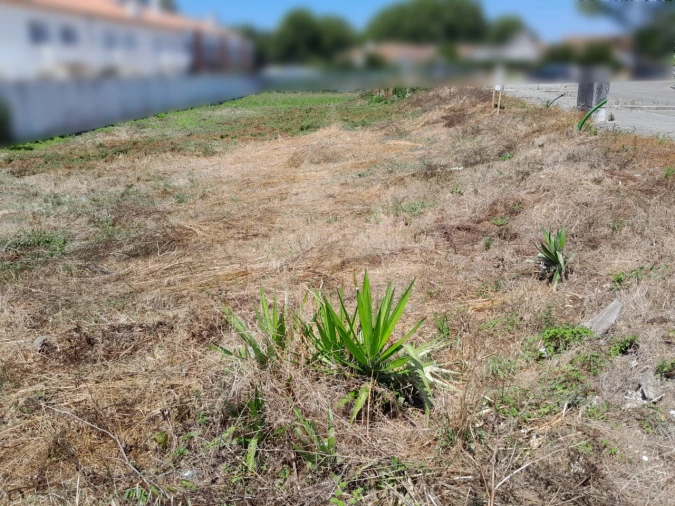 Terreno para Venda em Ílhavo (São Salvador) Foto 3