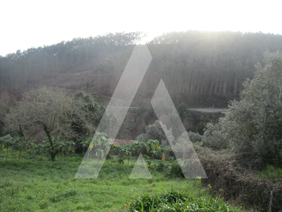 Terreno para Venda em Moita Foto 2