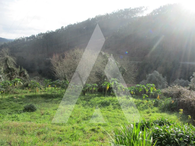 Terreno para Venda em Moita Foto 5