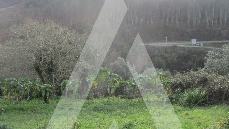 Terreno para Venda em Moita