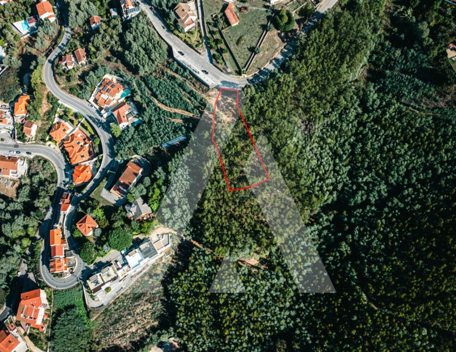 Terreno para Venda em Santo Antonio dos Olivais Foto 2