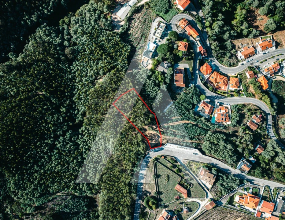 Terreno para Venda em Santo Antonio dos Olivais Foto 3
