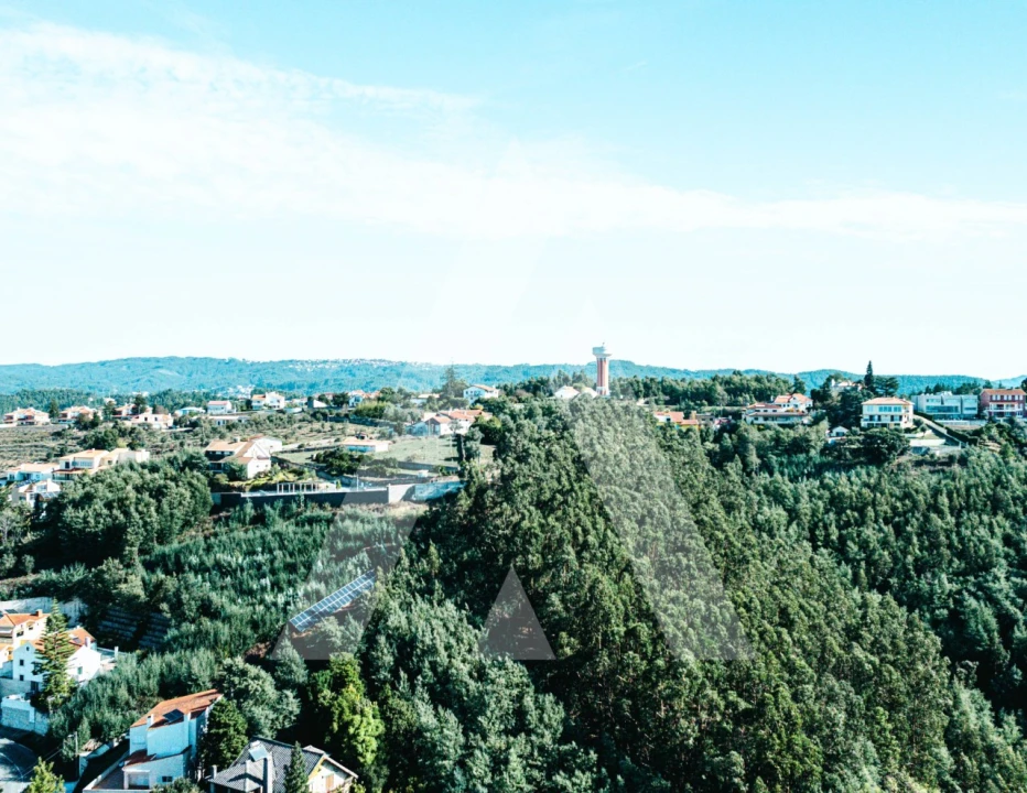 Terreno para Venda em Santo Antonio dos Olivais Foto 21
