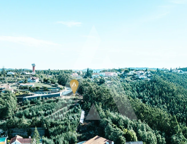 Terreno para Venda em Santo Antonio dos Olivais Foto 4