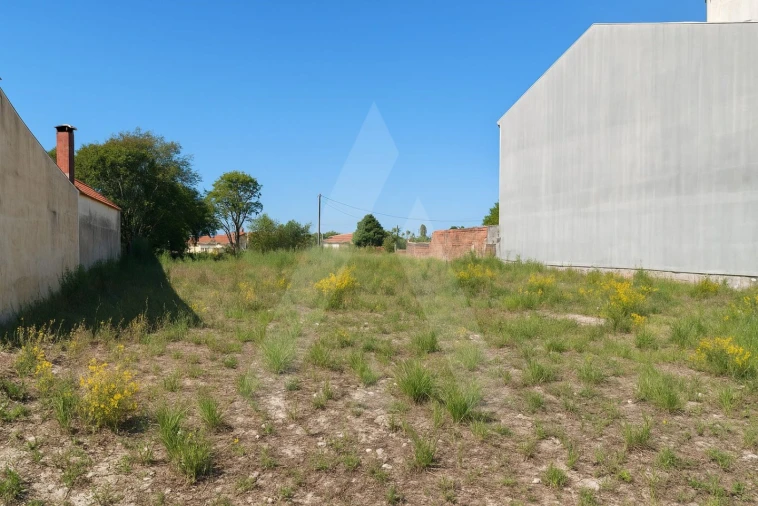 Terreno para Venda em Oliveirinha