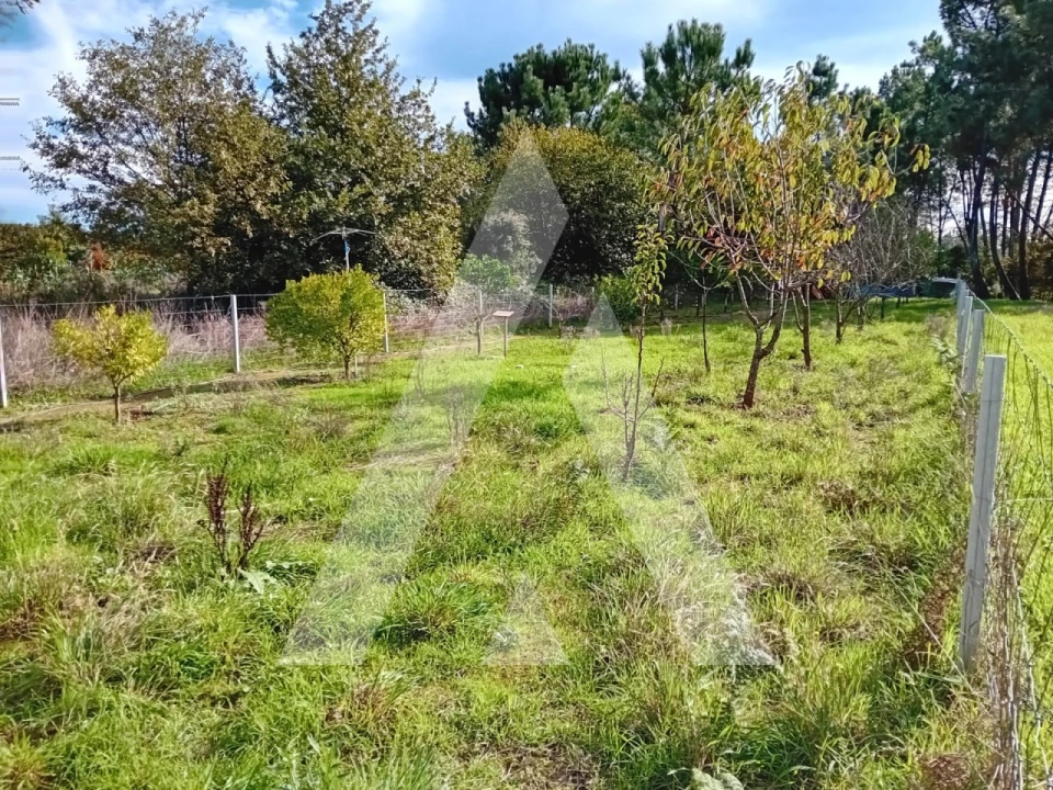 Terreno para Venda em Oliveira do Bairro Foto 11