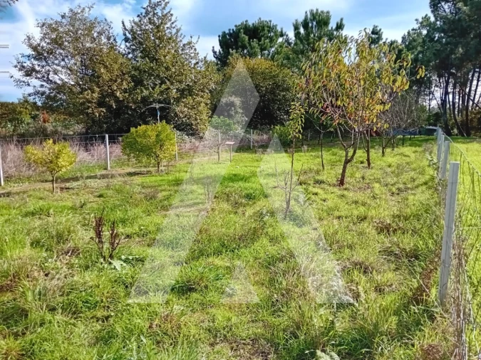 Terreno para Venda em Oliveira do Bairro Foto 11