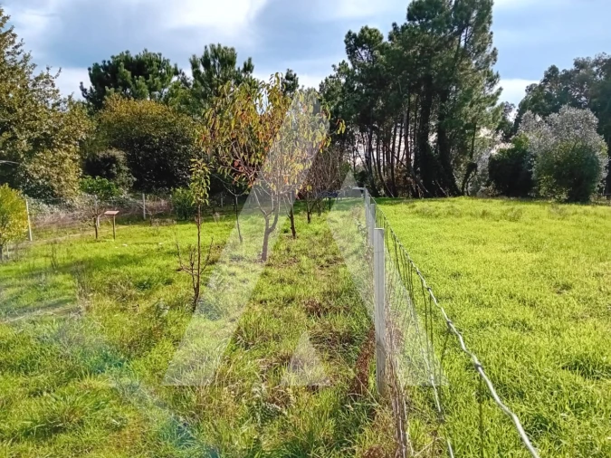 Terreno para Venda em Oliveira do Bairro Foto 12