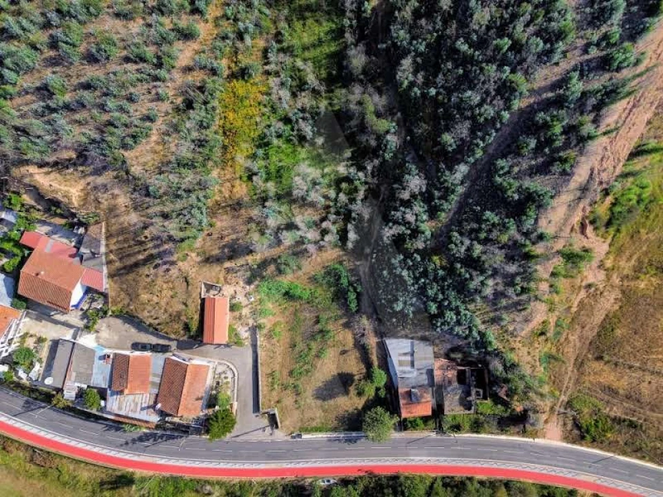 Terreno para Venda em São João de Loure e Frossos Foto 3