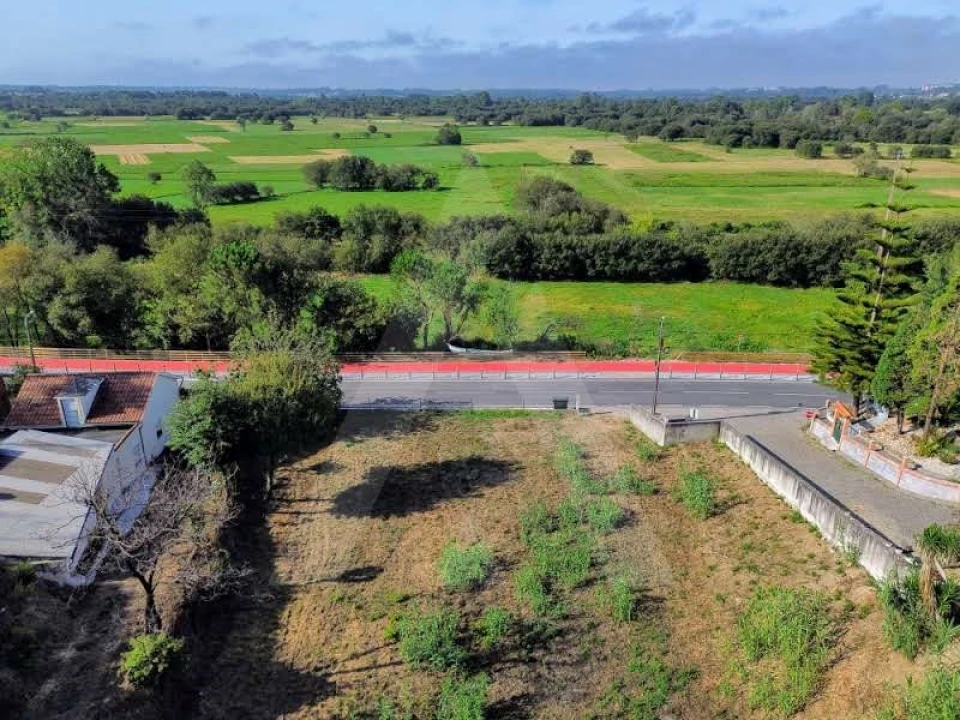 Terreno para Venda em São João de Loure e Frossos Foto 4