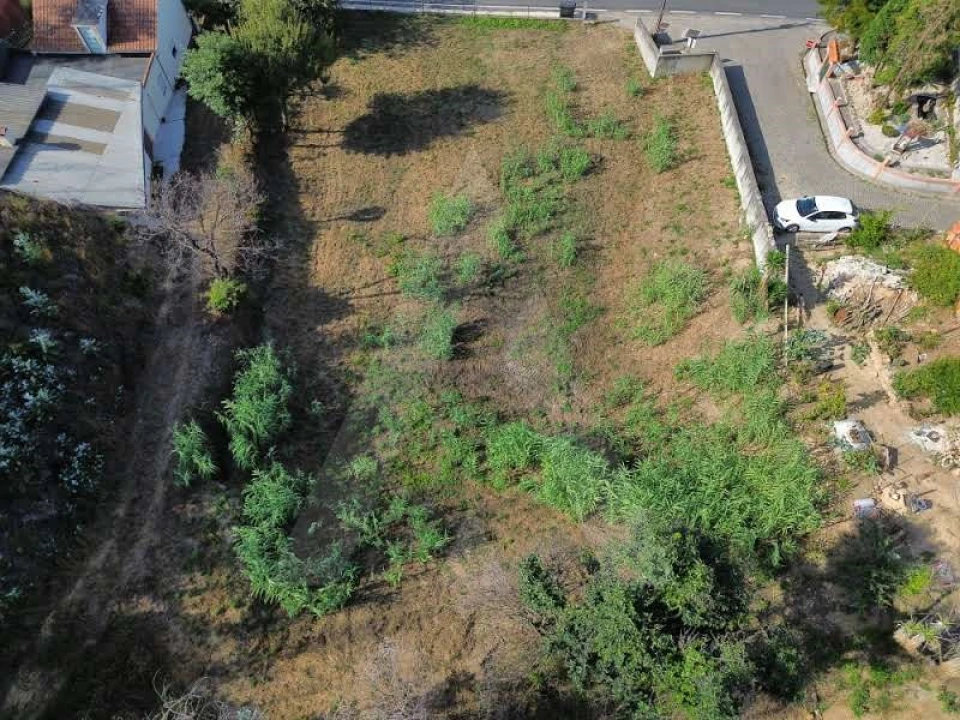 Terreno para Venda em São João de Loure e Frossos Foto 6
