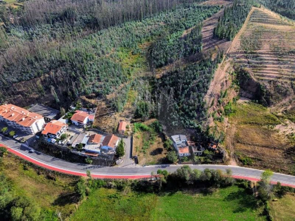 Terreno para Venda em São João de Loure e Frossos Foto 7