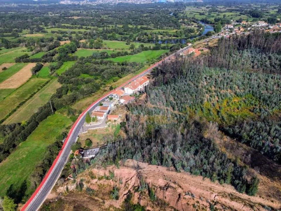 Terreno para Venda em São João de Loure e Frossos Foto 13
