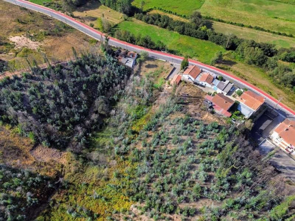 Terreno para Venda em São João de Loure e Frossos Foto 14