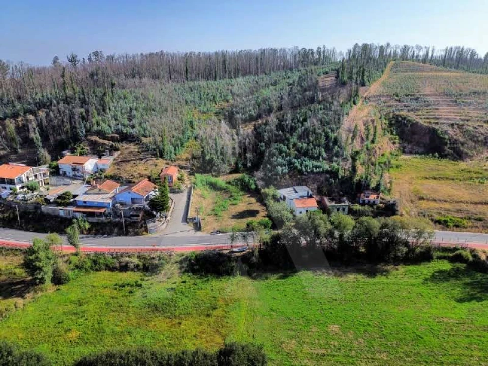 Terreno para Venda em São João de Loure e Frossos Foto 16
