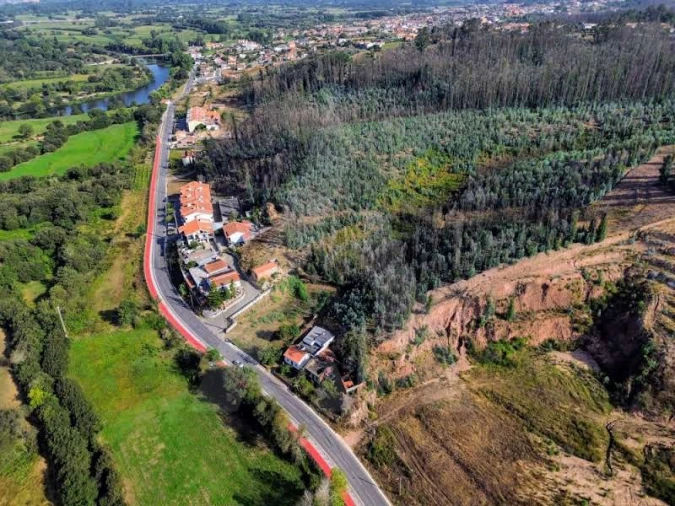 Terreno para Venda em São João de Loure e Frossos