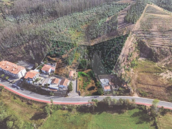 Terreno para Venda em São João de Loure e Frossos Foto 2