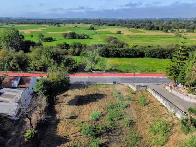 Terreno para Venda em São João de Loure e Frossos Foto 4