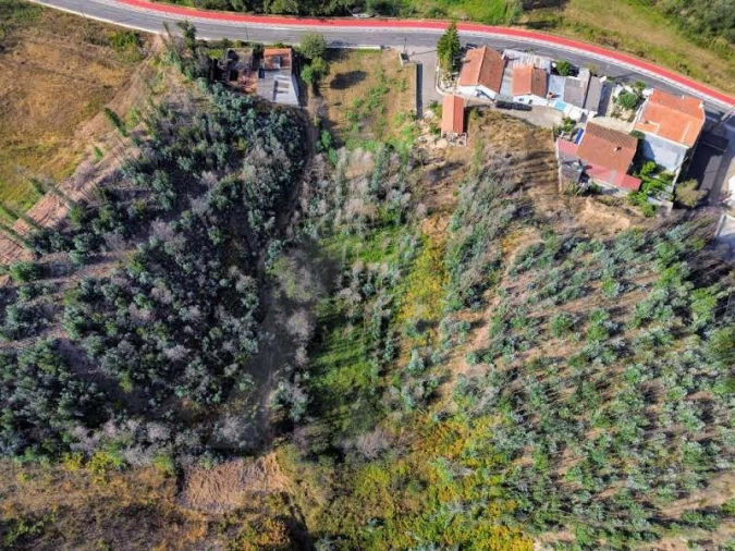 Terreno para Venda em São João de Loure e Frossos Foto 9