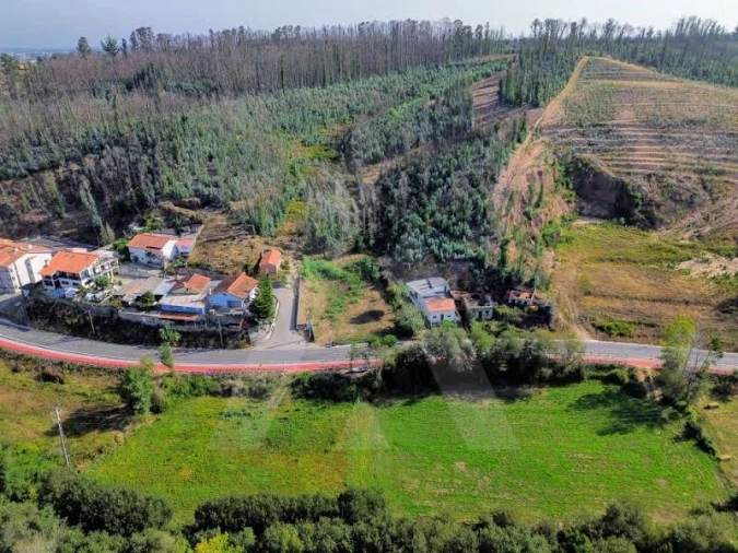 Terreno para Venda em São João de Loure e Frossos Foto 11