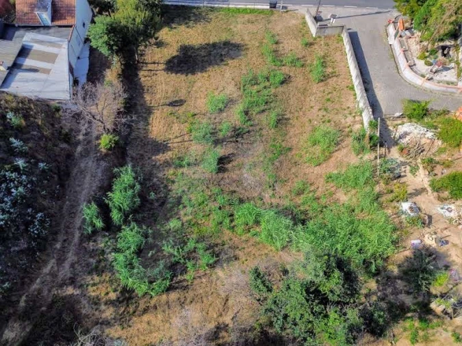 Terreno para Venda em São João de Loure e Frossos Foto 12