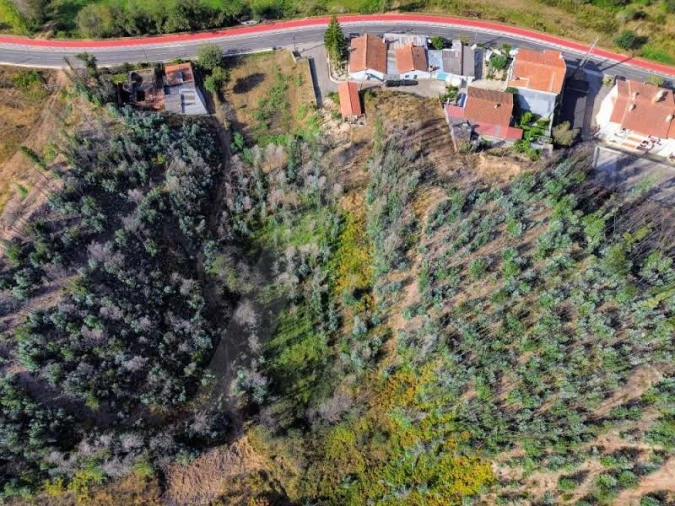 Terreno para Venda em São João de Loure e Frossos Foto 15