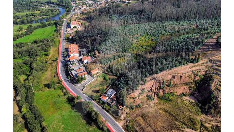 Terreno para Venda em São João de Loure e Frossos