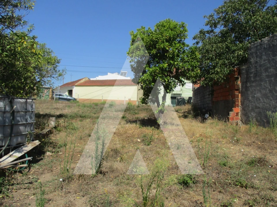 Terreno para Venda em Oliveira do Bairro Foto 5