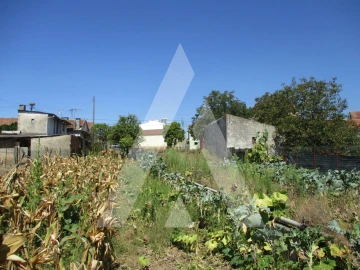 Terreno para Venda em Oliveira do Bairro