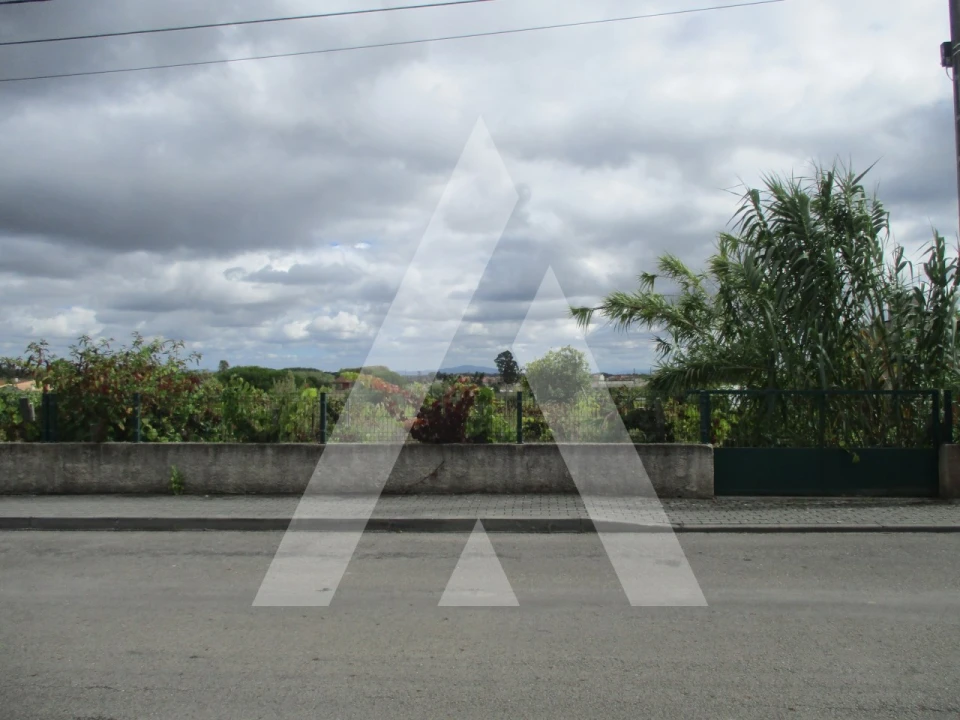 Terreno para Venda em Oiã Foto 1