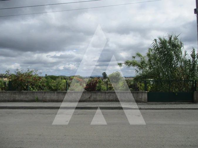 Terreno para Venda em Oiã Foto 1