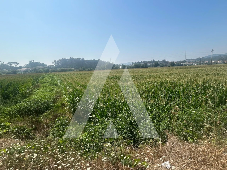Terreno para Venda em Campo e Sobrado Foto 1