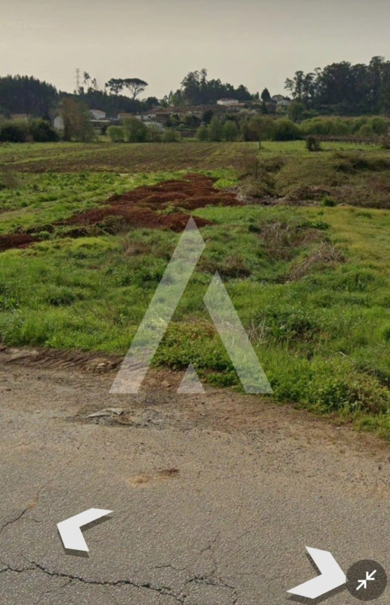 Terreno para Venda em Campo e Sobrado Foto 8