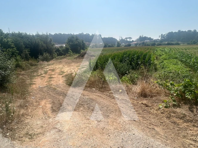 Terreno para Venda em Campo e Sobrado Foto 4